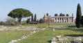 Temple of Paestum Archaeological site, Italy Royalty Free Stock Photo
