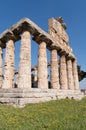 Temple of Paestum Archaeological site, Italy Royalty Free Stock Photo
