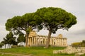 Temple of Paestum, Italy Royalty Free Stock Photo