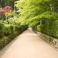 Temple pathway Royalty Free Stock Photo
