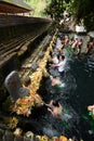 The temple pond. Tirta Empul. Tampaksiring. Gianyar regency. Bali. Indonesia