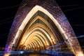 The Temple of Promise During the Night at Burning Man 2015 Royalty Free Stock Photo