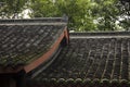 Temple Roofs Buddhist Temple China