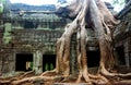 Temple ruins, Angkor wat, Cambodia Royalty Free Stock Photo