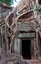 Temple ruins, Angkor wat, Cambodia