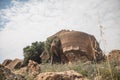 Temple ruins in Sicily, Italy at sunset Royalty Free Stock Photo