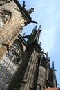 Temple of the saint Vita (St Vitus's Cathedral )