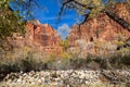 The Temple of Sinawava and Narrows hike area of Zion National Park