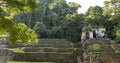 Temple Of The Skull Palenque