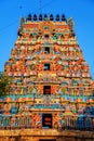 Temple of Sri Ranganathaswamy in Trichy.