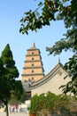 Temple and stupa Royalty Free Stock Photo