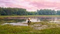 Temple submerged in a lake with lots of lotus flowers Royalty Free Stock Photo