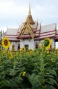 Temple and Sunflower with sky background Royalty Free Stock Photo