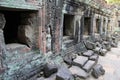 Temple Ta Phrom in Angkor Royalty Free Stock Photo