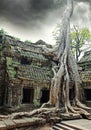 Temple of Ta Prohm in Angkor Wat Royalty Free Stock Photo