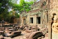 The temple of Ta Prohm, Siem Reap,Cambodia