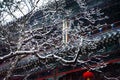 Tan Kuo Temple, a temple among the snowy mountains in Beijing