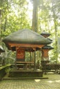 temple in tropical forest with balinese design