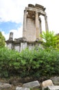 Forum Romanum, Rome Royalty Free Stock Photo