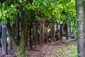 Temple in Vittoriale, Italy