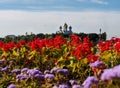 Temple in Yaroslavl against the background of bright flowers in the flowerbed Royalty Free Stock Photo