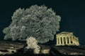 Temples in Agrigento night in Sicily - Italy Royalty Free Stock Photo