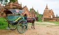 The temples and the horse carriage in Bagan Royalty Free Stock Photo