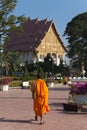 Temples at Luang Prabang Laos with Buddha statues and detailed golden shrines