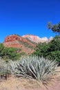 Temples and Towers of the Virgin, Zion National Park Royalty Free Stock Photo