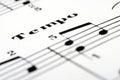 Music notes score background Royalty Free Stock Photo