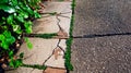 Temporary setback reflected in cracked pavement with greenery peeking through Royalty Free Stock Photo