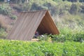 Temporary tent or camp or staying place on a open field with nature around. Royalty Free Stock Photo