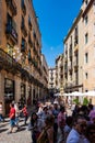 Temps de flors, event flower Festival in Girona, Catalonia, Spain