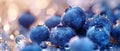 Tempting Blueberries, Perfectly Showcased On A Transparent Background, Ready To Be Savored