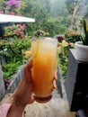 A tempting fresh orange juice in nature serenity