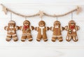 5 Tempting Varieties of Gingerbread Men to Satisfy Your Sweet Tooth!