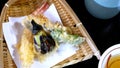 Tempura of Eggplant, Shrimp, and Chili Royalty Free Stock Photo