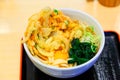 Tempura Udon ,Japanese noodle, selected focus Royalty Free Stock Photo