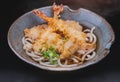 Tempura udon with studio lighting