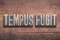 Tempus fugit wood Royalty Free Stock Photo