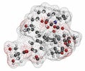 Temsirolimus cancer drug molecule. Prodrug of sirolimus (rapamycin). Atoms are represented as spheres with conventional color Royalty Free Stock Photo