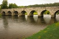 Ten Arch Stone Bridge. Inistioge. county Kilkenny. Ireland