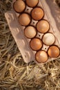 Ten brown eggs in a cardboard carton on straw Royalty Free Stock Photo