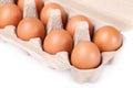 Ten brown eggs in a carton package Royalty Free Stock Photo