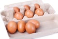 Ten brown eggs in a carton package Royalty Free Stock Photo