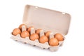 Ten brown eggs in a carton package Royalty Free Stock Photo