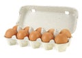 Ten brown eggs in a carton package isolated on white background Royalty Free Stock Photo