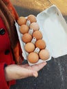 Ten brown eggs in a carton package Royalty Free Stock Photo