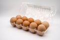 Ten brown eggs