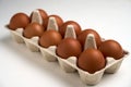Ten brown eggs in carton on white with clipping path Royalty Free Stock Photo